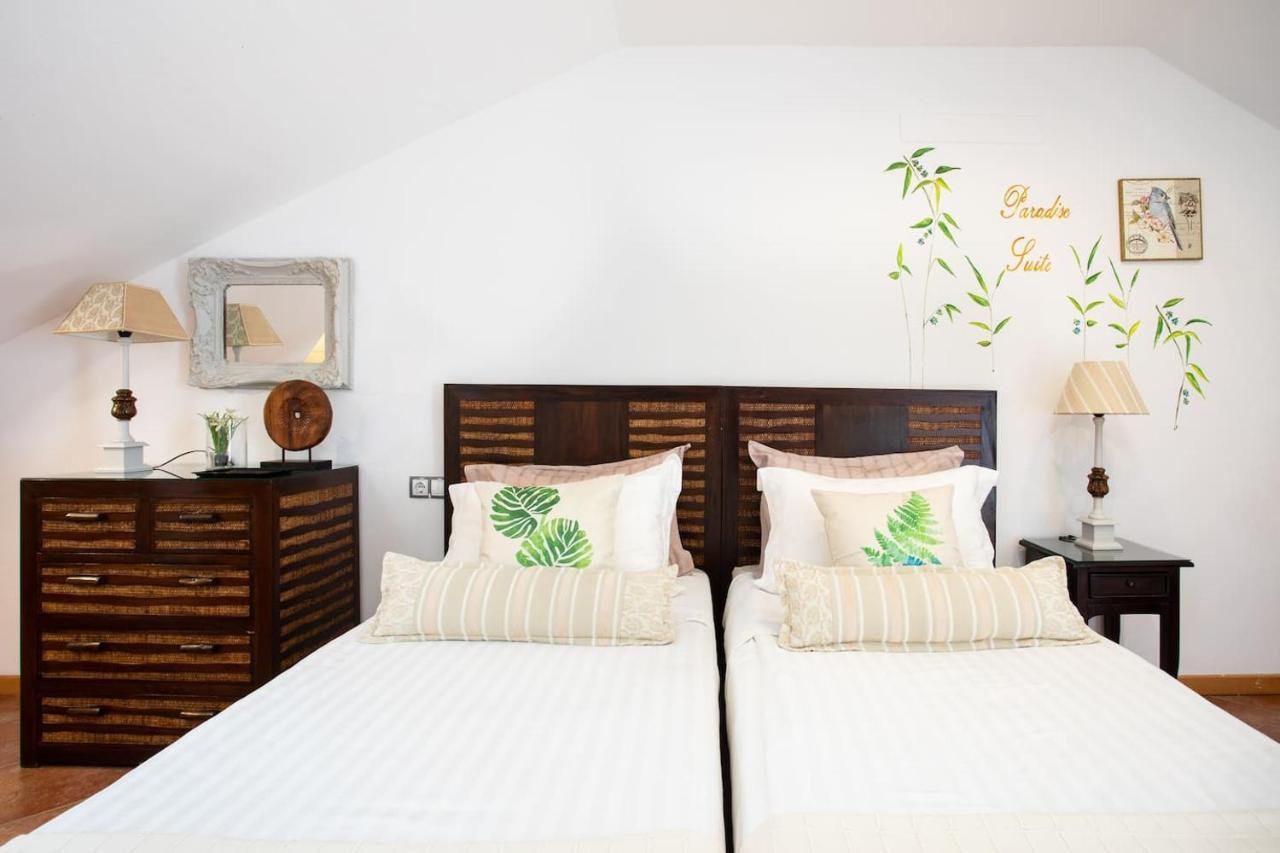 The Paradise Suites By Anne, Cozy Apartment In Adeje Costa Adeje  Eksteriør bilde